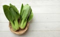 cantonese lettuce ,Bok Choy(Chinese cabbage) small choy sum,green pak choi, in bamboo basket