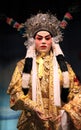 Cantonese opera dummy Royalty Free Stock Photo