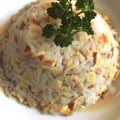 Cantonese rice, a beautifully decorated dish Royalty Free Stock Photo