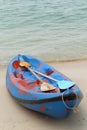 Canue, kayak close up ith paddle