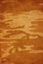 Canvas with camouflage texture