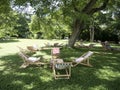 Canvas chair and wooden table under the tree in garden. Afternoon tea party setup. Royalty Free Stock Photo