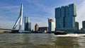 Canvas of the City: Aquatic Journey of Rotterdam