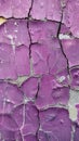 A canvas of lavender paint crackles under the stress of time, its surface patterned with a web of fine lines. The