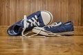 Canvas sneakers blue Royalty Free Stock Photo