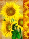 Canvas sunflowers series right