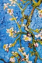 Canvas texture and brush strokes. Details Blooming almond tree. oil painting on canvas