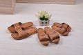 Cany slippers for a family of three sizes. Royalty Free Stock Photo