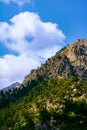 Canyon cliffs. Forest covered hills in vertical view. Goynuk Canyon in Antalya