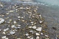 Cold water flows with white splashes in a mountain stream Royalty Free Stock Photo