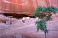 Canyon De Chelly