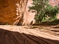 Canyon de Chelly, under the rock Royalty Free Stock Photo