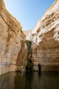 The canyon Ein Avdat is formed by the Qing River. Israel. Picturesque waterfall in the middle of the Negev desert