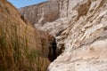 The canyon Ein Avdat is formed by the Qing River. Israel. Picturesque waterfall in the middle of the Negev desert