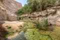 Canyon of Ein Avdat National Park, the Negev Desert, Southern Israel Royalty Free Stock Photo