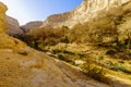 Canyon of Ein Avdat National Park, the Negev Desert Royalty Free Stock Photo