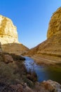 Canyon of Ein Avdat National Park, the Negev Desert Royalty Free Stock Photo