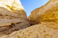 Canyon of Ein Avdat National Park, the Negev Desert Royalty Free Stock Photo