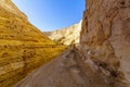 Canyon of Ein Avdat National Park, the Negev Desert Royalty Free Stock Photo