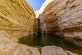 Canyon of Ein Avdat National Park, the Negev Desert Royalty Free Stock Photo