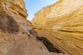 Canyon of Ein Avdat National Park, the Negev Desert Royalty Free Stock Photo