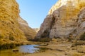 Canyon of Ein Avdat National Park, the Negev Desert Royalty Free Stock Photo