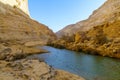 Canyon of Ein Avdat National Park, the Negev Desert Royalty Free Stock Photo