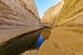 Canyon of Ein Avdat National Park, the Negev Desert Royalty Free Stock Photo