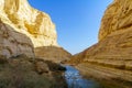 Canyon of Ein Avdat National Park, the Negev Desert Royalty Free Stock Photo