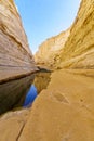 Canyon of Ein Avdat National Park, the Negev Desert Royalty Free Stock Photo