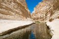 Canyon Ein-Avdat in the Negev desert