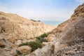 Canyon in En Gedi Nature Reserve and National Park Royalty Free Stock Photo