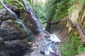 Canyon Gorges du Durnand. Switzerland.