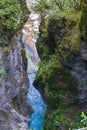 canyon of Kamniska Bistrica river near Kamnik in Slovenia