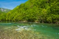 Kupa river in spring, Gorski kotar, Croatia Royalty Free Stock Photo