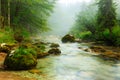 Canyon Mostnica near lake Bohinj in Slovenia