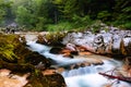 Canyon Mostnica near lake Bohinj in Slovenia