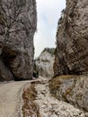 Canyon in the mountains - Prapastiile Zarnestiului Royalty Free Stock Photo