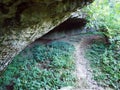 The canyon of the Pazincica river before the abyss and the Pazin cave - Pazin, Croatia / Kanjon rijeke Pazincice pred ponorom