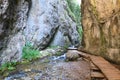 The canyon in Prosiecka Valley Prosiecka dolina in summertime with its typical wooden walking path, northern Slovakia, Europe Royalty Free Stock Photo