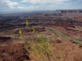 Canyon and River view at Dead Horse Point State Park in Moab Utah Royalty Free Stock Photo