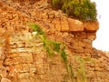 Canyon rock wall remote and abandoned