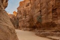 Canyon Siq or El Siq in Petra Jordan. Only road to rock city of Nabatean kingdom, to ancient city of Petra. Royalty Free Stock Photo