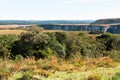 Canyon in Southern Brazil