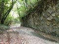 The canyon of the stream below the Sopot waterfall, Pican - Istria, Croatia - Kanjon potoka pod slapom Sopot, PiÃâ¡an - Hrvatska