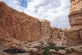 Canyon in Tamerza Oasis, Tunisia