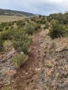 Canyon trail granite Crystal lake Curt Gowdy State park