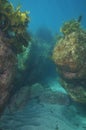 Canyon between underwater rocks