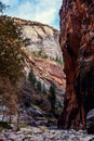 Canyon view of the Narrows hiking trail in Zion, Utah.