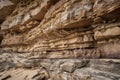 canyon wall with layers of rock and fossils visible in close-up Royalty Free Stock Photo